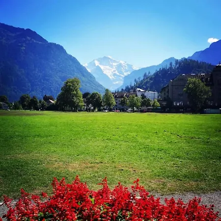 Lake Thun Alps Scenic Views And Concierge By Swisshut * Därligen