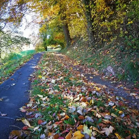 Lake Thun Alps Scenic Views And Concierge By Swisshut Appartement *