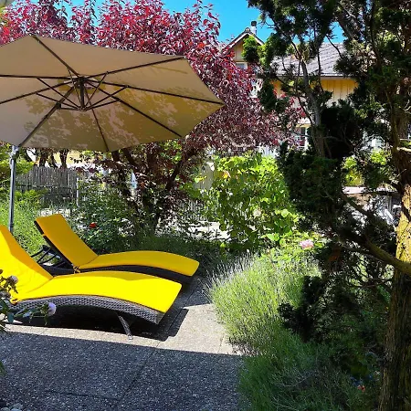 Thun Alps Scenic Views And Concierge By Swisshut *