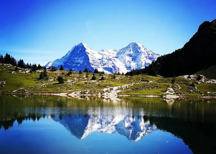 Thun Alps Scenic Views And Concierge By Swisshut