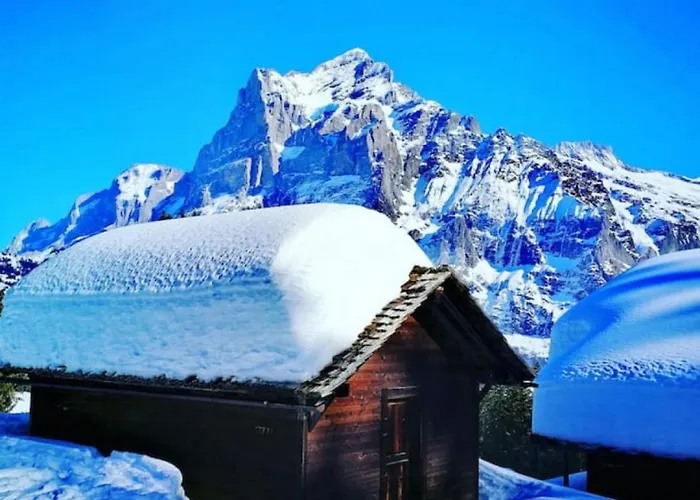 Thun Alps Scenic Views And Concierge By Swisshut Lejlighed *