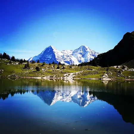 Thun Alps Scenic Views And Concierge By Swisshut