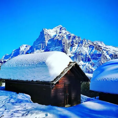 Thun Alps Scenic Views And Concierge By Swisshut Διαμέρισμα *